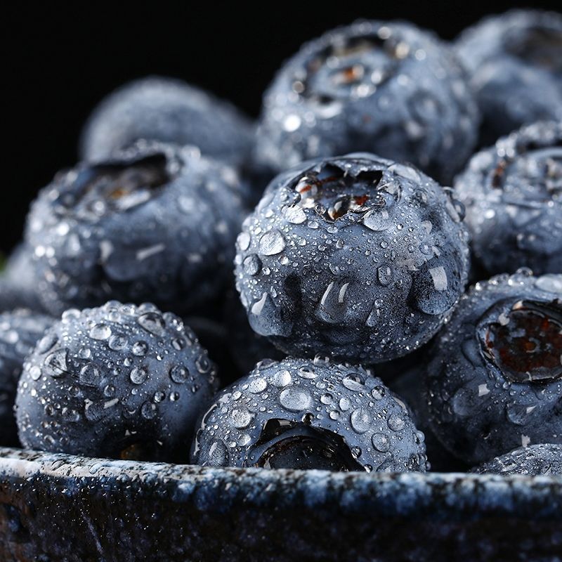 Fresh Blueberries from Yunnan, Freshly Picked and Seasonal Fruits, Fresh Blueberries, Fruit Orchard Picking for Pregnant Women