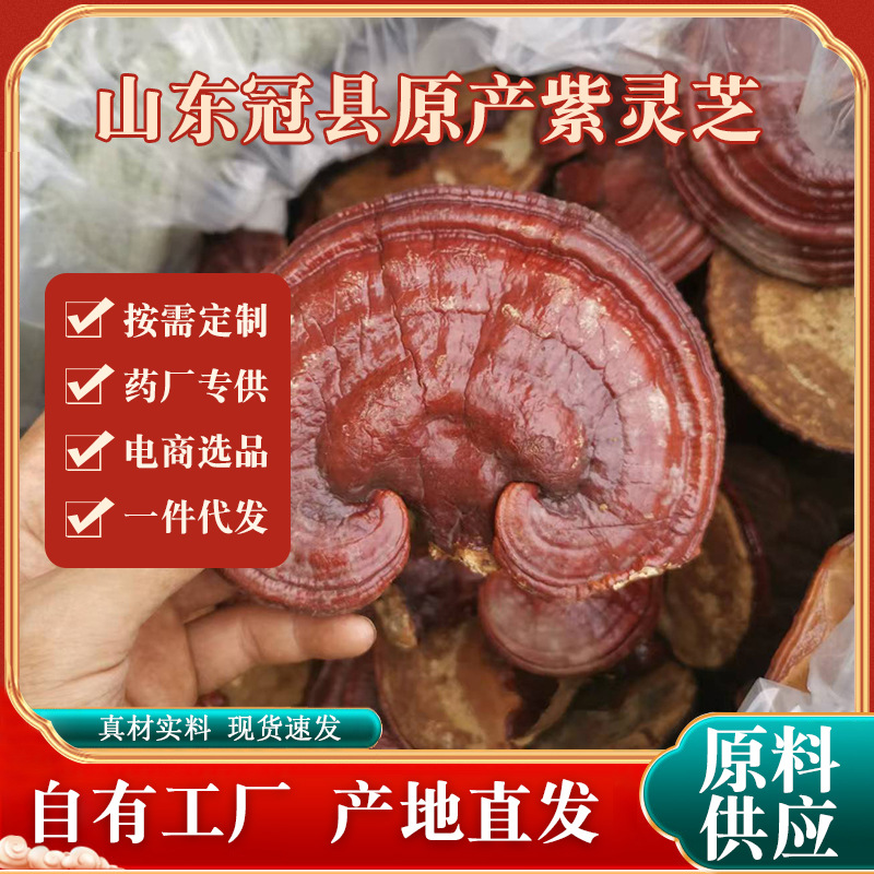 Superfine Purple Ganoderma Whole Bitter Red Ganoderma Extra Fine Powder Ganoderma lucidum Diced Ganoderma lucidum Pieces Gift Box Boiling Water Soup Natural