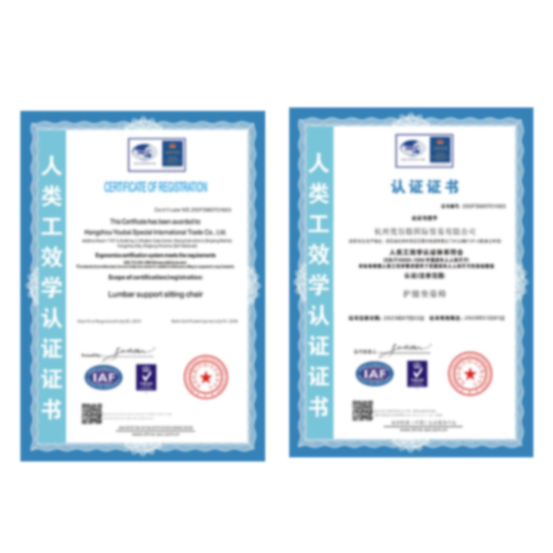 Ergonomic Waist Protection Cushion Office Sedentary Not Tired Children and Students Corrective Anti-Hunchback Hip Pad Lumbar Chair