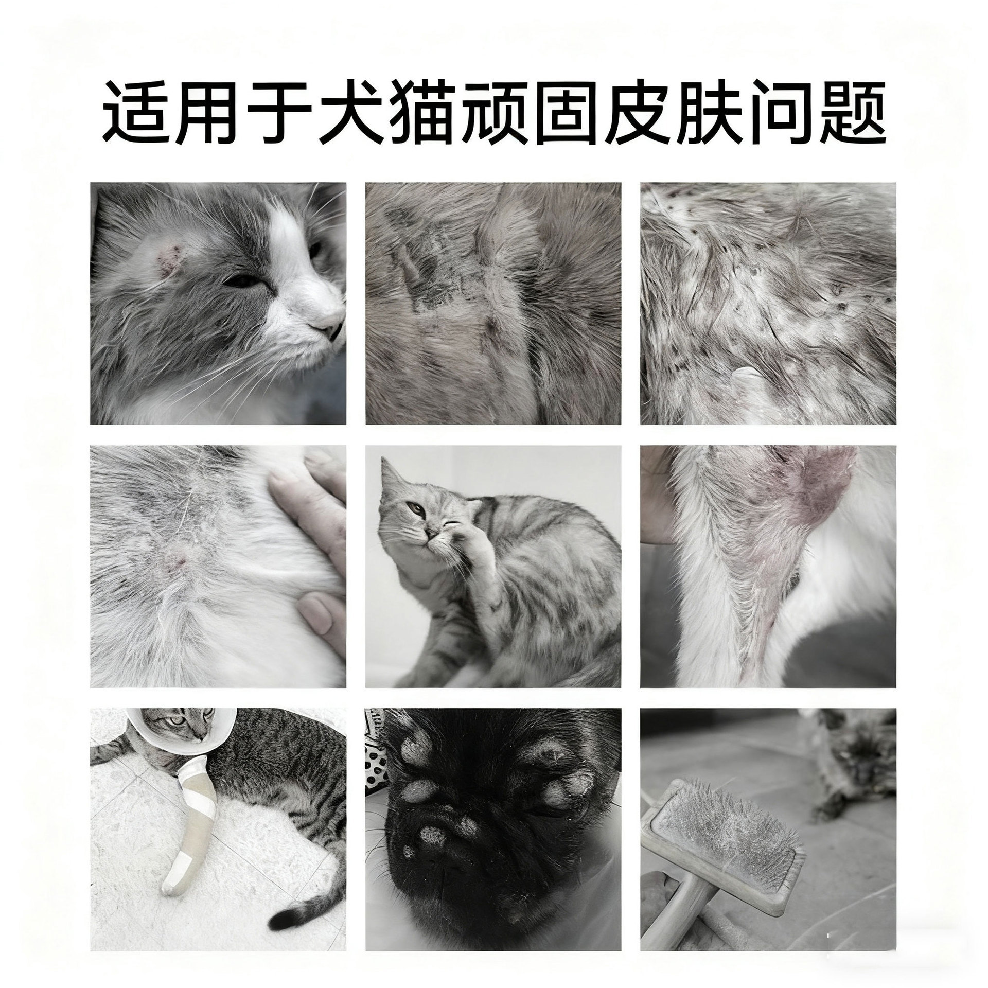 Pet external spray cat spray cat dog general pet antibacterial spray cleaning supplies wholesale