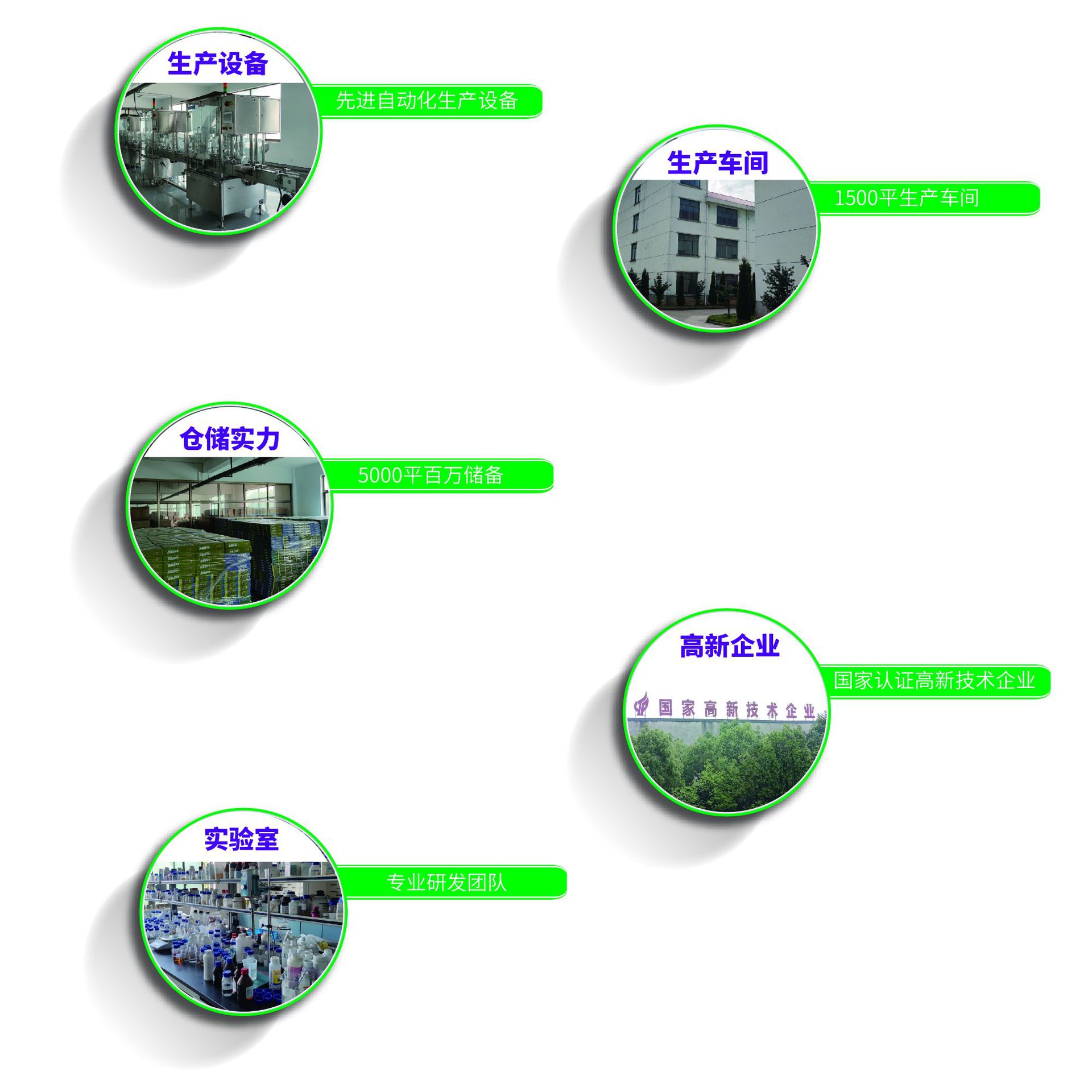 10G/Pc Imidacloprid Thick Cockroach Medicine Cockroach Killing Gel Bait Needle Wholesale Non-Toxic Two Types Shipped Randomly