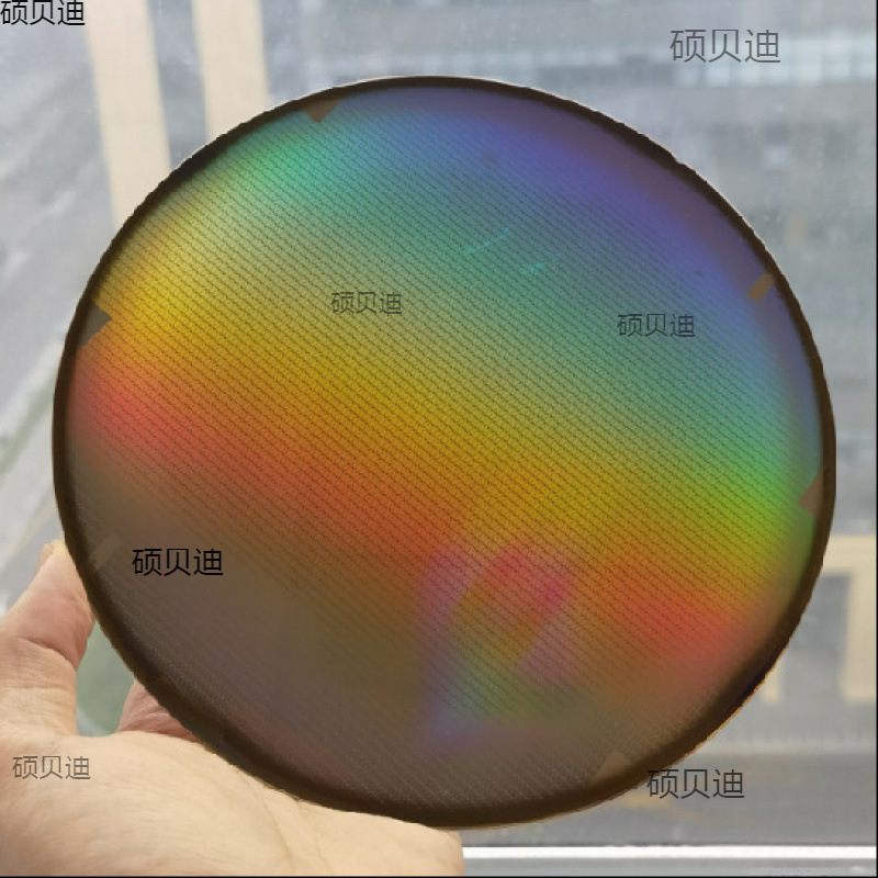 Chip model core wafer silicon integrated circuit semiconductor lithography chip