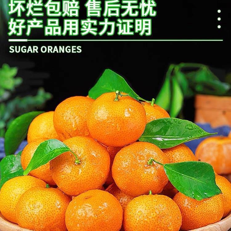 Authentic Guangxi Sugar Tangerine Fresh Fruit 5kg Seasonal Tangerine Golden Autumn Sugar Tangerine Tangerine Tribute Mandarin Whole Box Free Shipping