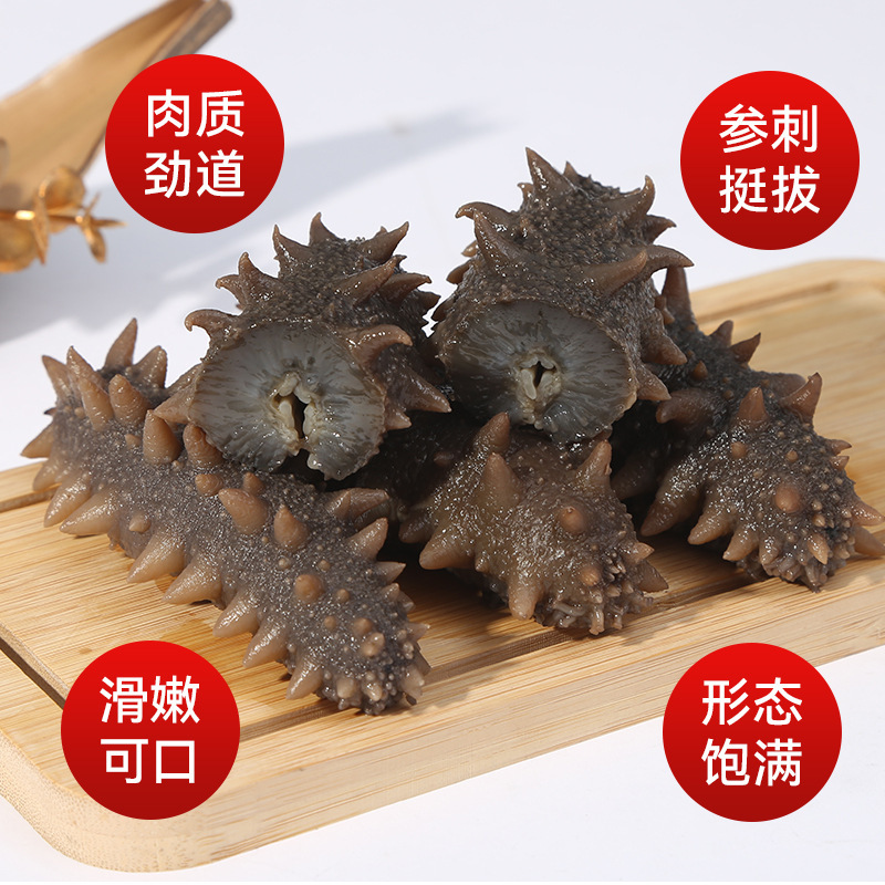 Sea Cucumber Manufacturers Wholesale Dalian Liao Sea Cucumber, Ready-To-Eat, Chewy Texture, Fresh Taste, Frozen and Fresh-Keeping