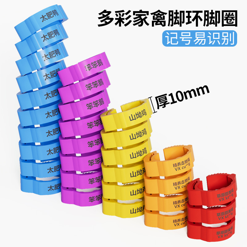 Poultry Foot Ring Chicken Foot Ring Clasp Type Chicken Foot Ring Carrier Pigeon Foot Ring Mark Identification Ring Chicken Duck Goose