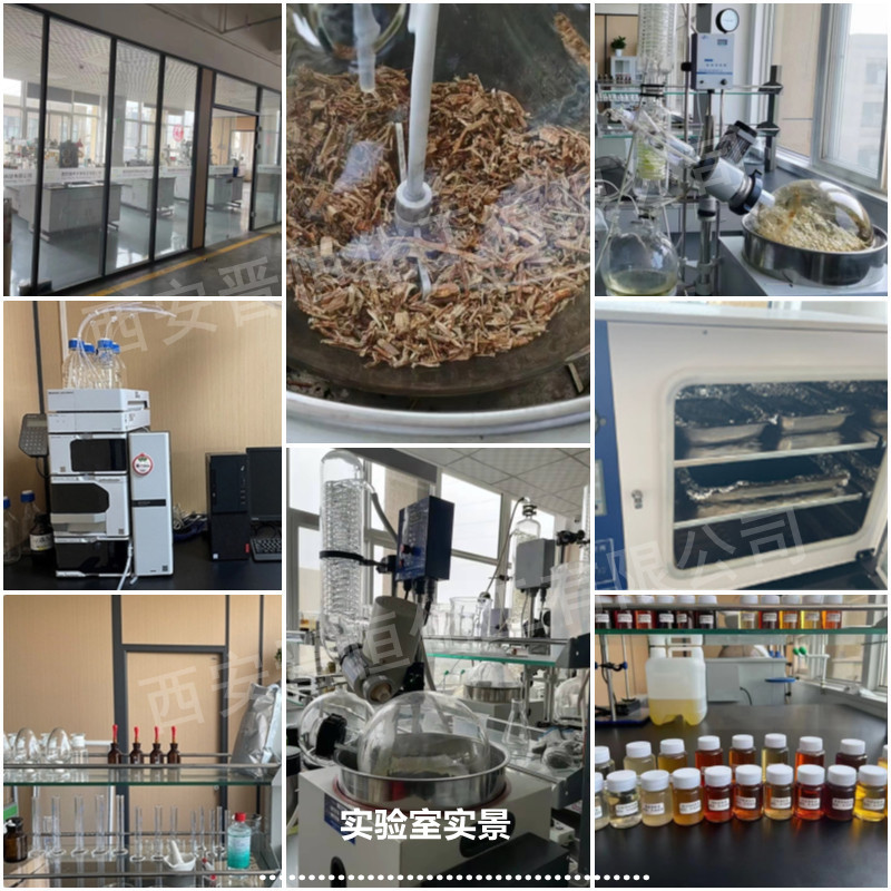 Spot Sales Melatonin Pineal Gland Hormone N-Acetyl-5-Methoxytryptamine