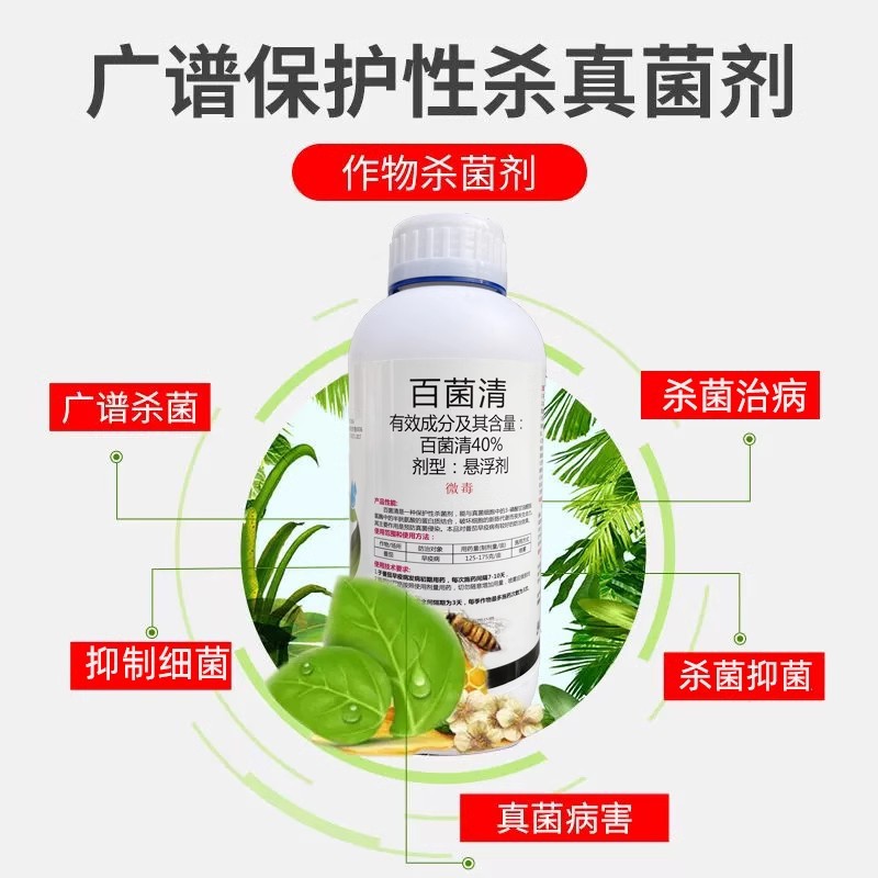 40% Chlorothalonil Pesticide Fungicide Downy Mildew Anthracnose Leaf Spot Early Blight Fruit Tree Vegetable Flower General