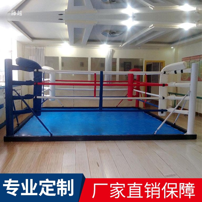 Floor-to-Floor Boxing Ring Wushu Sanda Training Ring Comprehensive Fighting Fence Standard Free Fighting Ring
