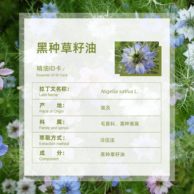 Directly Supplied from Egypt, Black Seed Oil, Cold-Pressed Pure Aromatherapy Skin Care Raw Materials, Wholesale Base Oil, Black Seed Oil