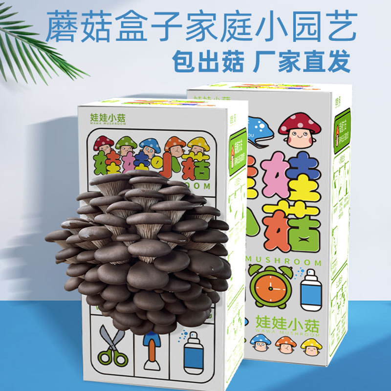 Упрощенные семена грибов, съедобные пакеты для посадки, подарочный набор для детей.