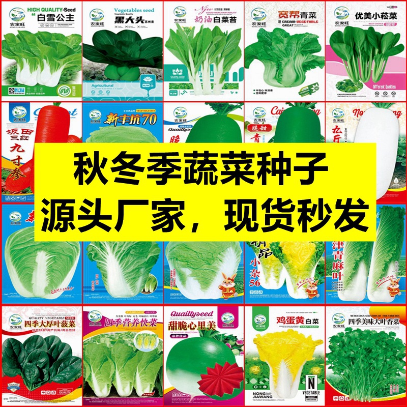 Семена различных овощей осенью и зимой, семена китайской капусты, рассада с высоким процентом всхожести, новые сорта рапса от оптовых компаний