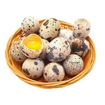 Fresh 50 Quail Eggs from Free-Range Farm Birds, Suitable for Hot Pot and Supplementary Food, Freshly Picked and Shipped from Rural Areas