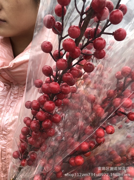 New Year's Eve Flower Material Artificial Holly Eucalyptus Fortune Ginkgo Gold Leaf New Year Decoration Blessing Bucket Spring Festival Ornaments