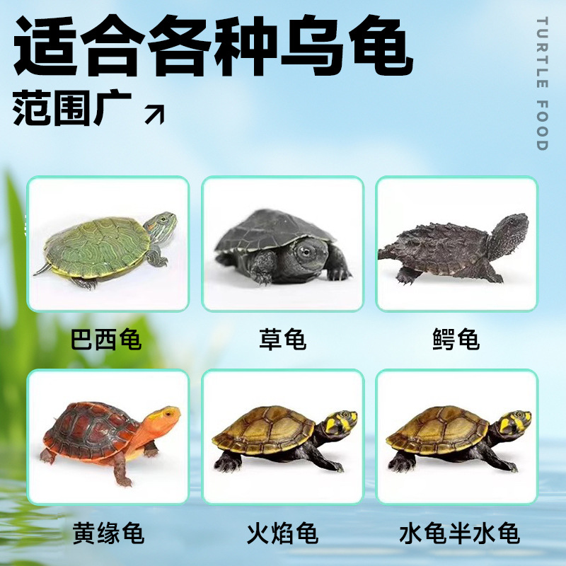 Turtle Food Wholesale Tortoise Ink Turtle Fish and Shrimp Dry Universal Pellet Feed Mealworm Turtle Food Hatchling Breeding Turtle Feed