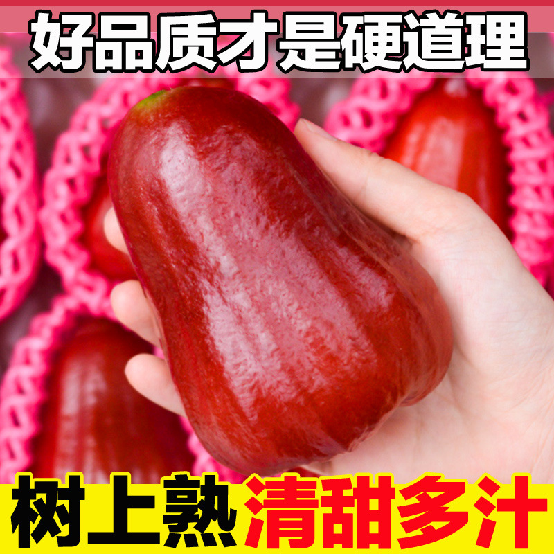 Хайнань Лотосовый туман Сезонные свежие фрукты целая коробка для беременных женщин сладкий и сочный оптовая продажа