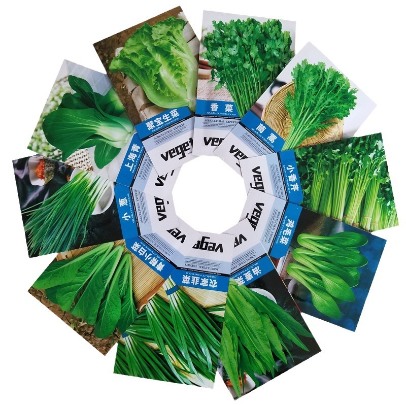 Factory Direct Sales of Four-Season Vegetable Seeds, Company Bulk Wholesale Vegetable Seeds, Fruit Seeds, Potted Rapeseeds