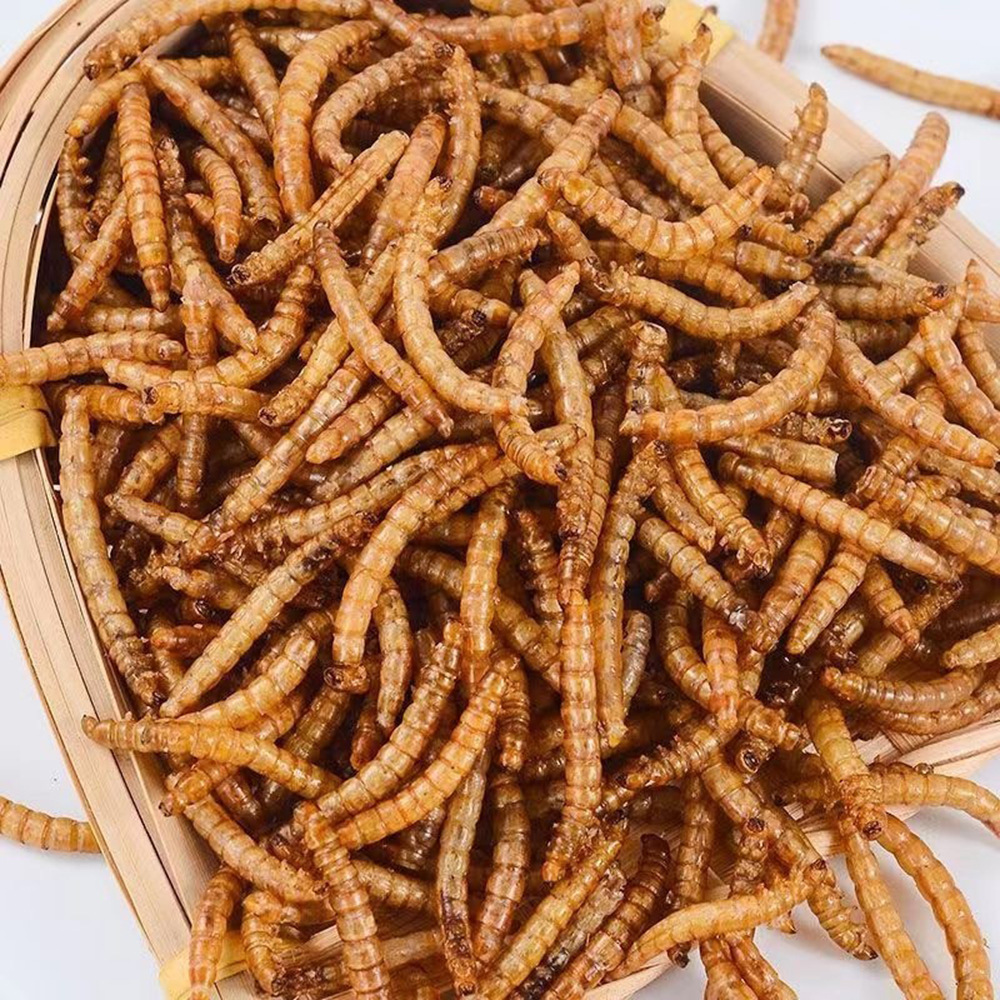 Wholesale Mealworm Mealworm Mealworm Barleyworm Dried Mealworm Dried 1 Ton Factory Direct