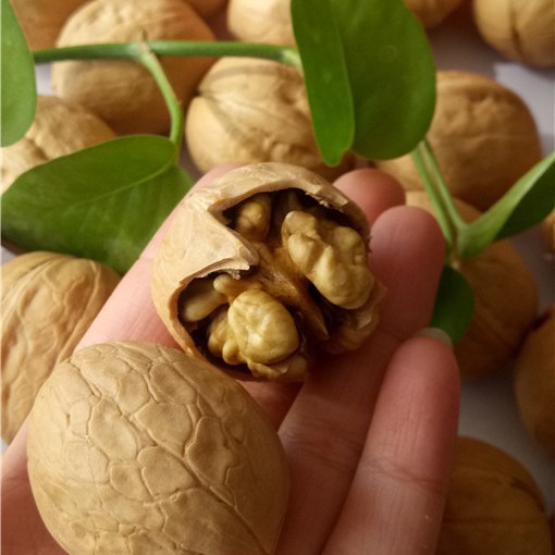Duoduo Community Group Buying E-Commerce Best-Selling Xinjiang 185 Walnuts, Shipped from 33 Farms, Happiness Walnuts