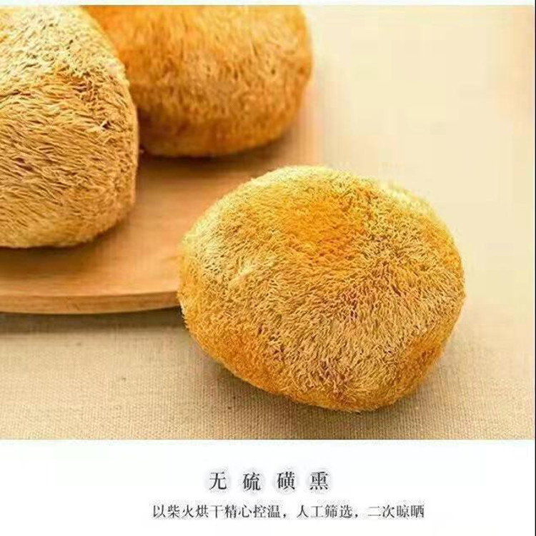 [One-piece delivery] factory direct sales Gutian specialty monkey head mushroom dry goods wholesale stomach nourishing soup cooking mushroom