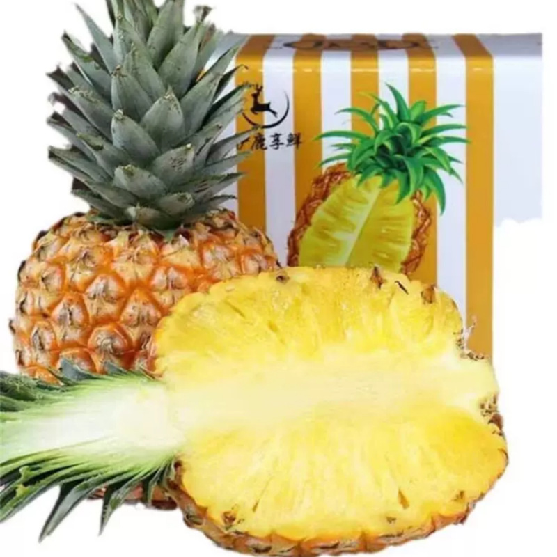 Hainan Mango Pineapple Taichung No. 23 Mango Flavor Sf Express Orchard Seasonal Fruit Freshly Picked Gift Box One Piece Wholesale