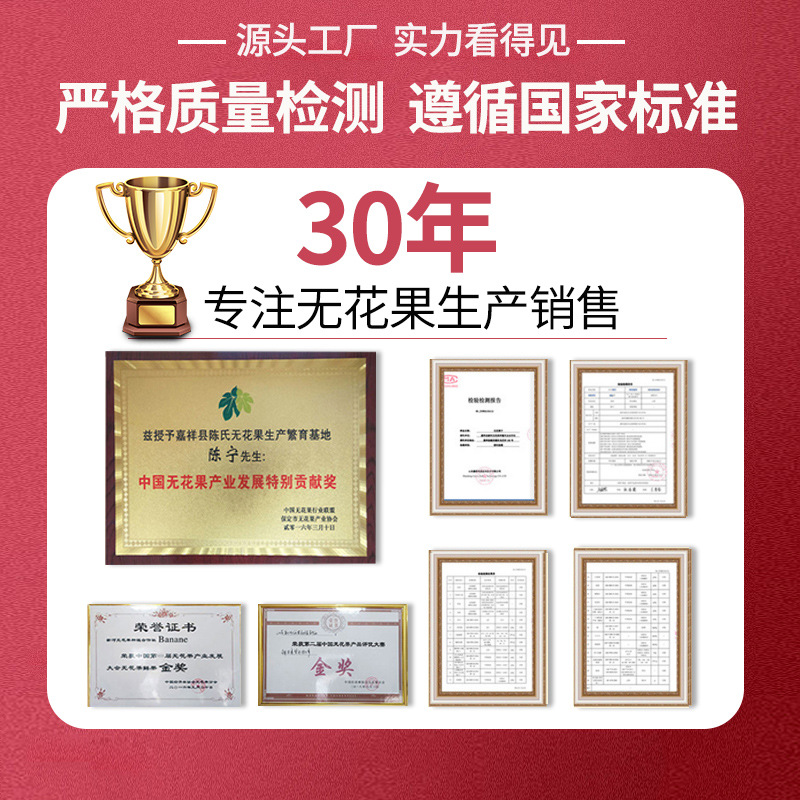 In Stock Farm specialty dried fruit snacks for pregnant women wholesale canned leisure food gift box dried fruit snacks