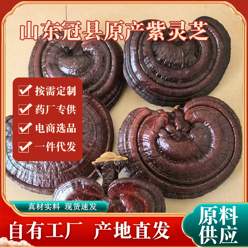 Superfine Purple Ganoderma Whole Bitter Red Ganoderma Extra Fine Powder Ganoderma lucidum Diced Ganoderma lucidum Pieces Gift Box Boiling Water Soup Natural