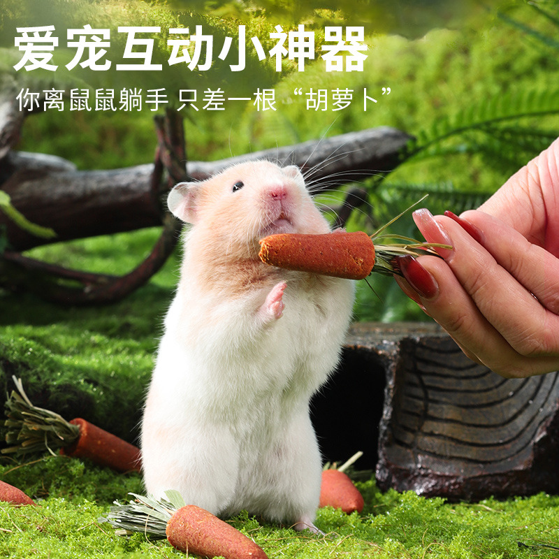 Hamster Carrot Molar Stick Snacks Golden Bear Rabbit Grass Cake Edible Molar Stone Toys Landscaping Supplies
