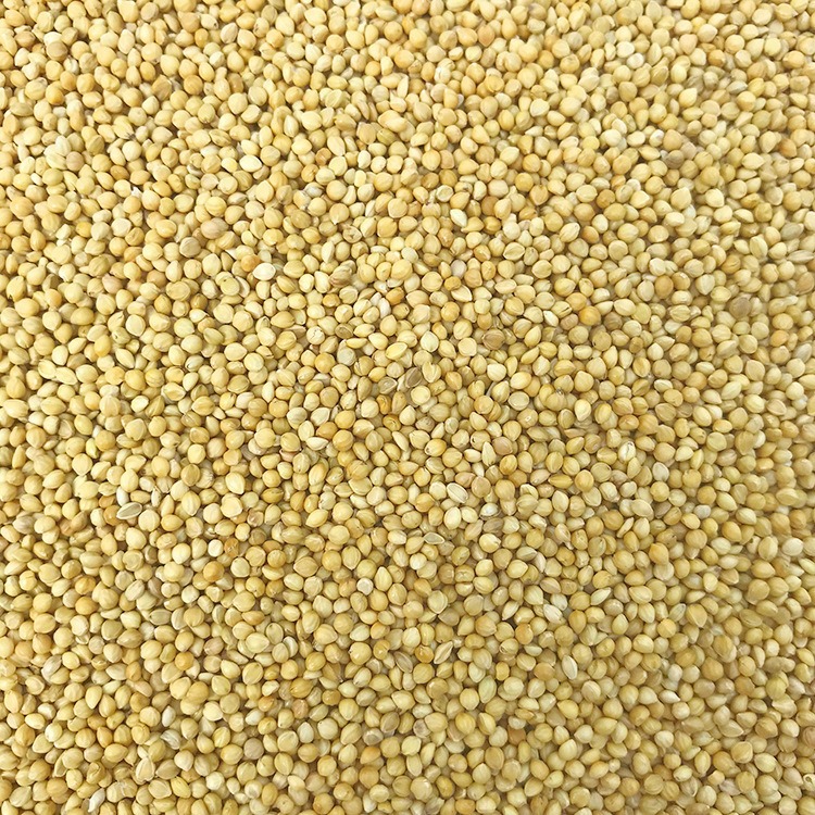 New yellow millet with shell millet tiger skin peony xuanfeng small and medium-sized parrot bird food bird feed wholesale millet