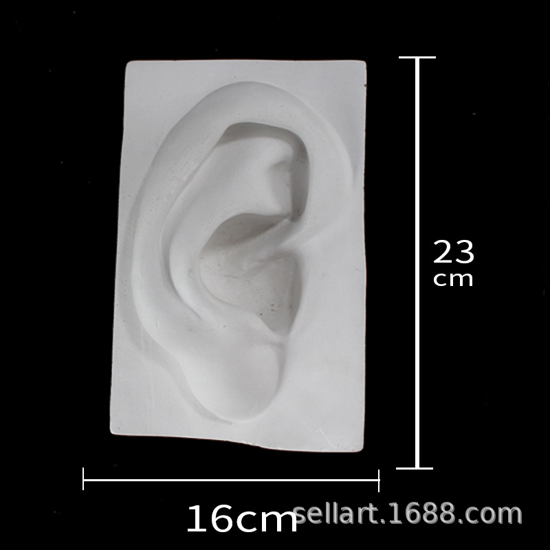 Facial features plaster statue front real face statue art teaching aids decoration david facial features eye ear nose mouth sketch still life sketch