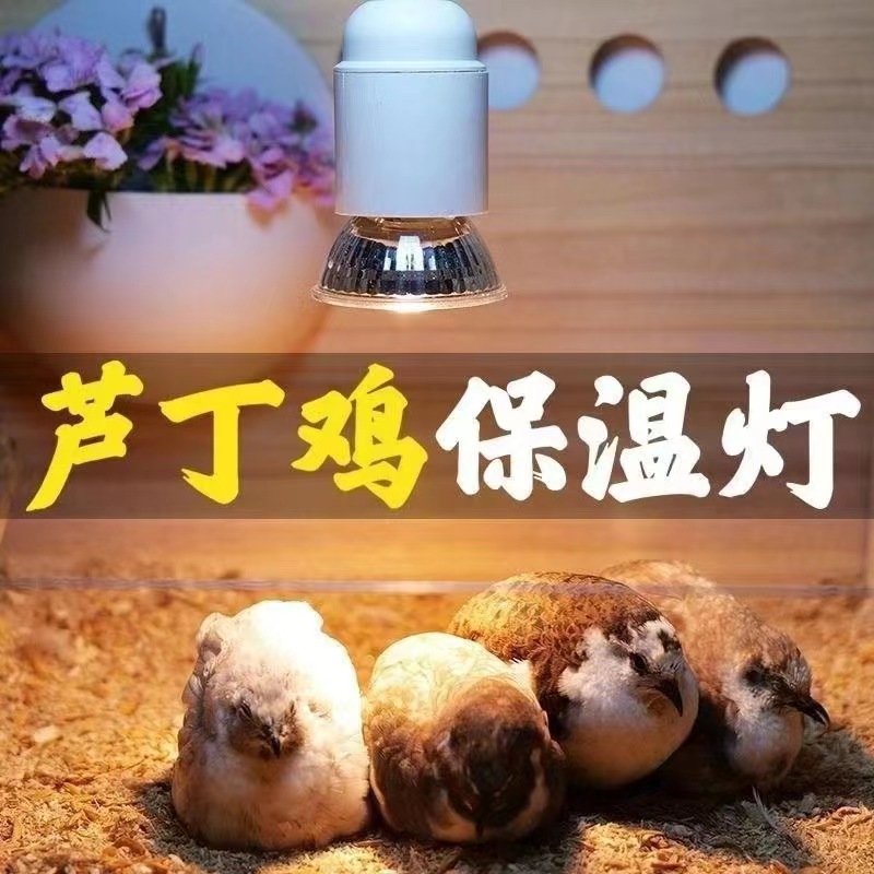 Heating Heat Preservation Lamp Tortoise Sun Backlight Heating Physiotherapy Breeding Plant Climbing Pet Breeding Chicken and Duck Calcium Supplementation Sun Bulb