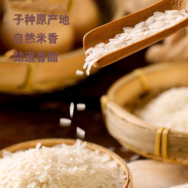Wuchang rice 1kg vacuum northeast new rice rice fragrant rice 5kg 10kg long grain fragrant rice factory wholesale generation