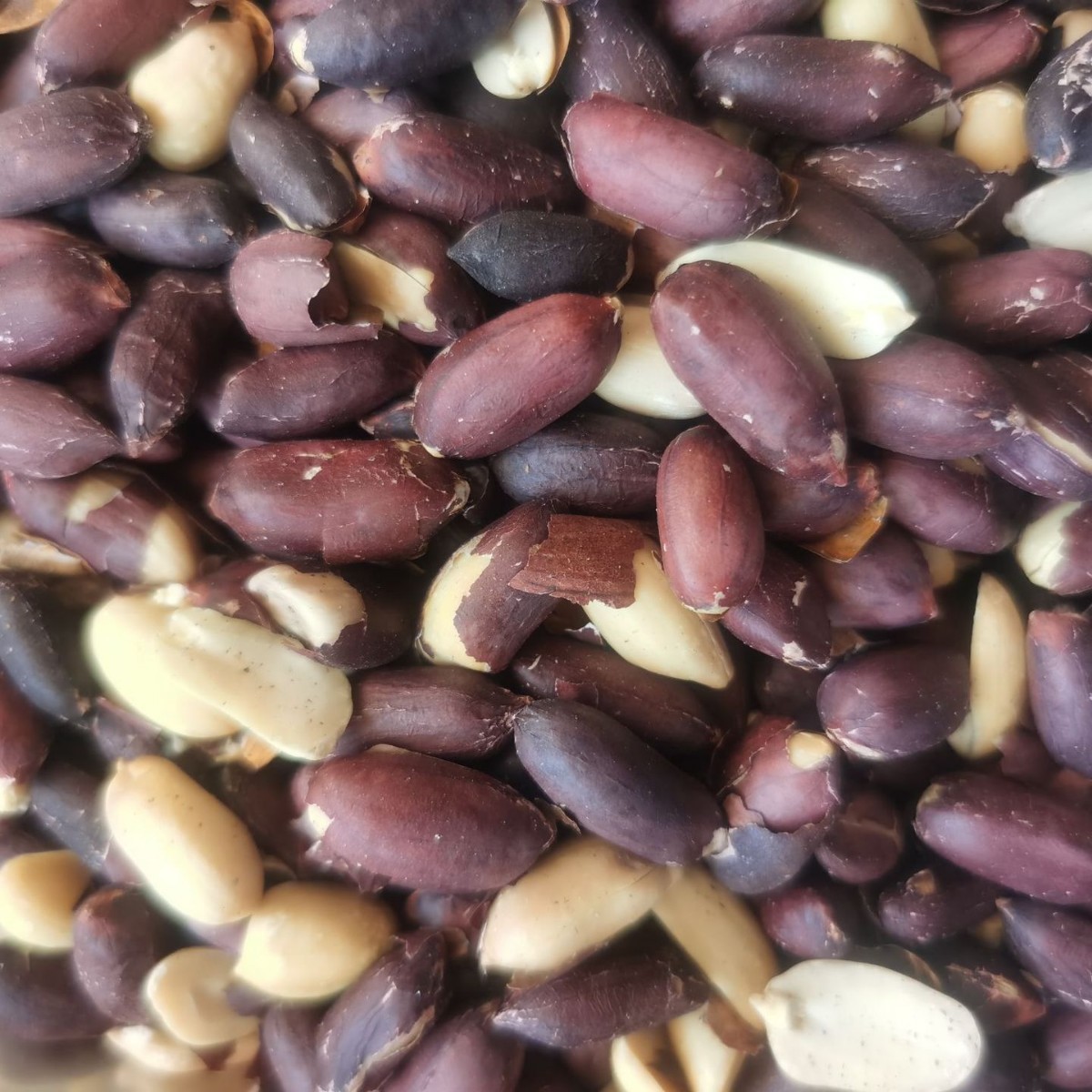 Low Temperature Roasted Black Peanuts, Black-Skinned Peanuts, Black Nutrition, Crispy Nuts and Fried Peanuts for Drinking