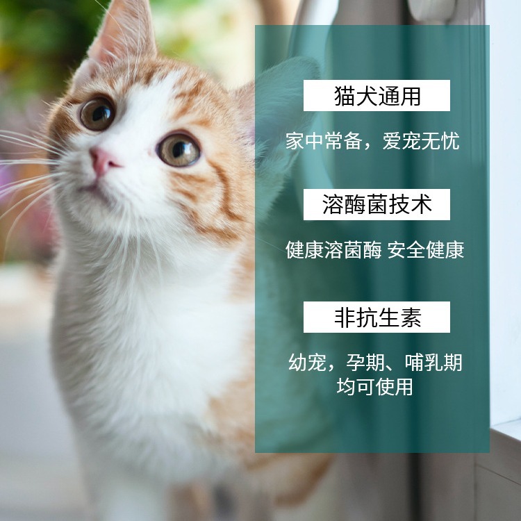 Pet Dysentery Peptide, General Diarrhea and Antidiarrheal Medicine for Cats and Dogs, Diarrhea for Pets, Vomiting and Yellow Water, Gastrointestinal Conditioning