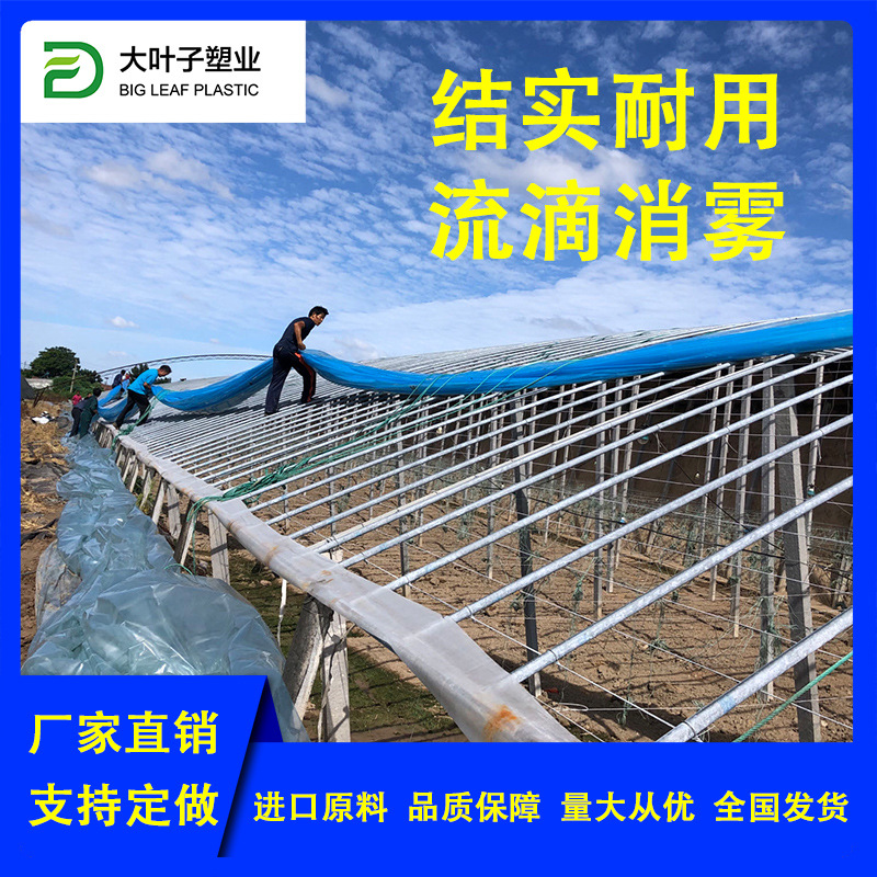 Сельскохозяйственная мульчирующая пленка антиводяная пленка пленка EVA с высокой прочностью на растяжение пластиковый лист малый арочный навес долгоживущая пленка против запотевания производитель