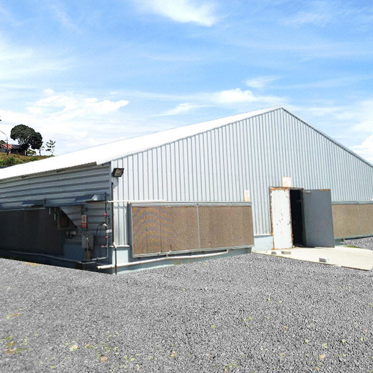 Steel Structure Chicken Coop Exports Produce Modernized Prefabricated Chicken Coop Steel Structure Chicken Coop Chicken Poultry House