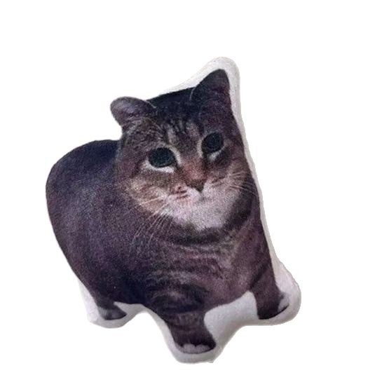 oiiaioooooiai Cat Expression Pack Voice Pendant Kitten Voice Doll Funny Pet Keychain Decompression