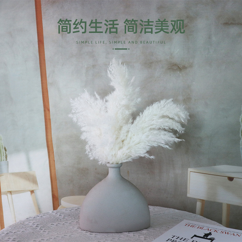 Amazon cross-border hot dried flowers small reed factory wholesale wedding props bouquet with window decoration shooting