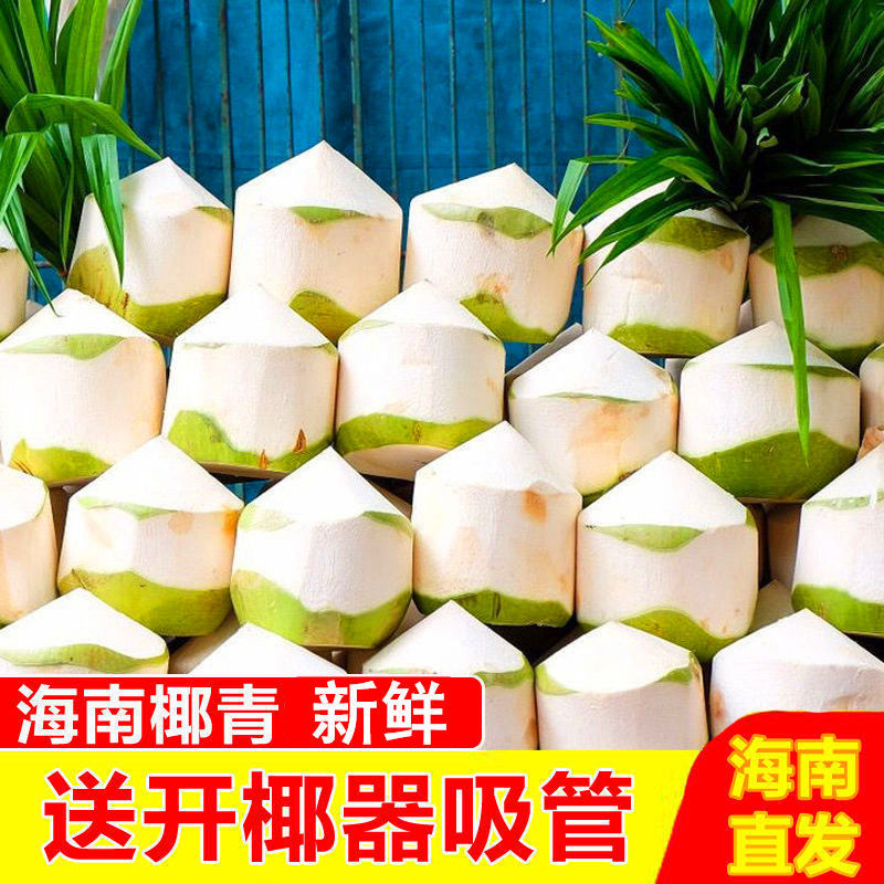 Свежий кокос Хайнань, зеленый сезонный фрукт для беременных, Хайнань Вэньчанг, тропический большой фрукт, кокосовый сок, оптовая продажа, целая коробка