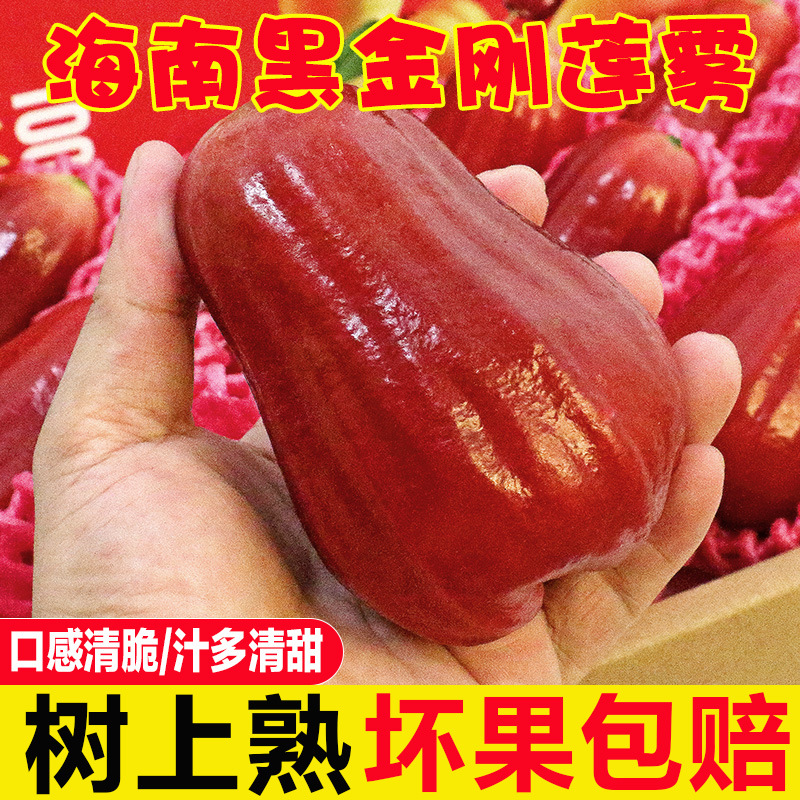 Черный алмаз Лотосовый туман свежие тропические фрукты целая коробка хрустящих, сладких и сочных Лотосовых фруктов бесплатная доставка специальность Хайнань