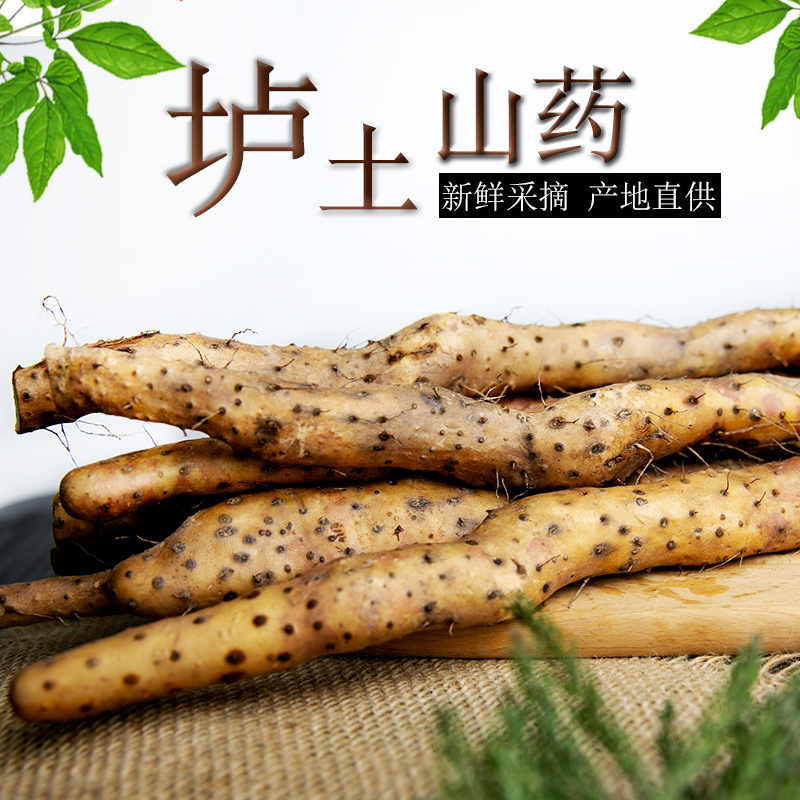 Аутентичный ямс из Вэньсяня, оптовая продажа