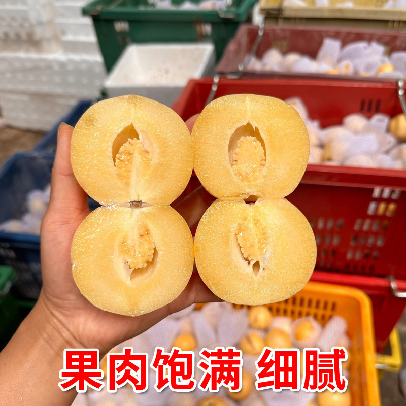 Yunnan Shilin Ginseng Fruit 2.5kg Fresh Large Fruit Ginseng Fruit Colorful Yellow Flesh Tree Ripe Fruit Round Fruit Free Shipping 3