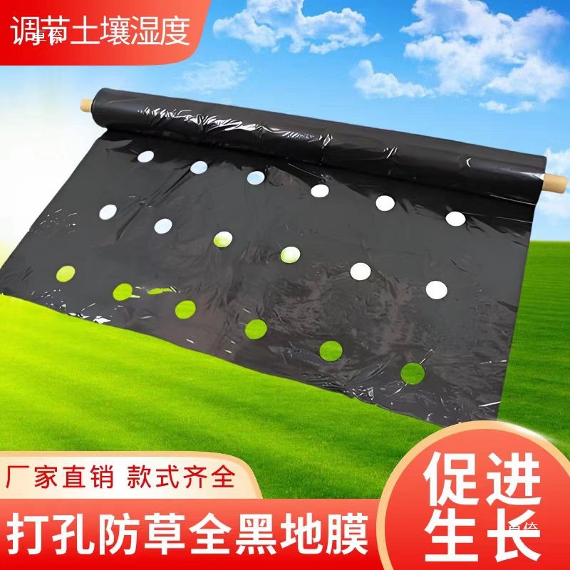 Hole-Punched Planting Mulch Film Silver-Black Weed Control Film Fruit Tree Insulation Moisture Retention Breathable Plastic Film for Medicinal Materials