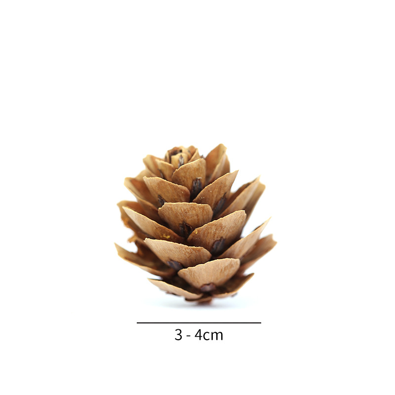 Christmas Pinecone Small Pinecone Pinecone Pinecone Pinecone Flower Larch Mini Pine Dried Flower Christmas Decoration