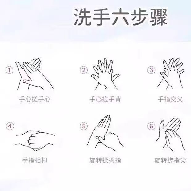 Haishi Hainuo Antibacterial Hand Sanitizer Sakura Type Antibacterial Hand Sanitizer Mild Formula Hand Cleaning Liquid for Adults and Children