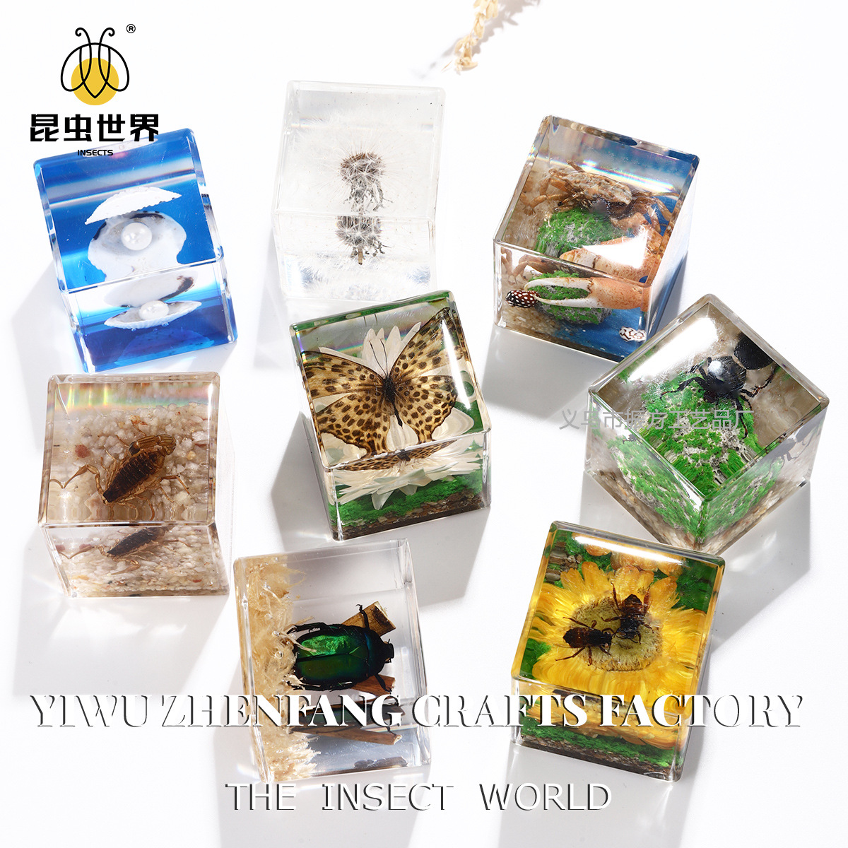 Amazon Кросс-Бордер Зарубежная Торговля Реальные Животные Экспонаты Уникальные Насекомые Орнаменты Детский Сад Объекты Наблюдения Микро Пейзаж