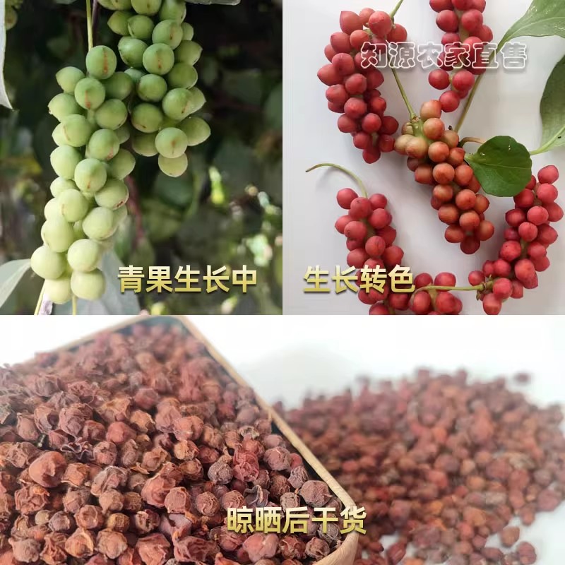 Shaanxi Qinling Nanshenzao 500g Nanshenzao Shan Nanshenzao Soaked in Water to Drink Non-Liao Nanshenzao Genuine Product