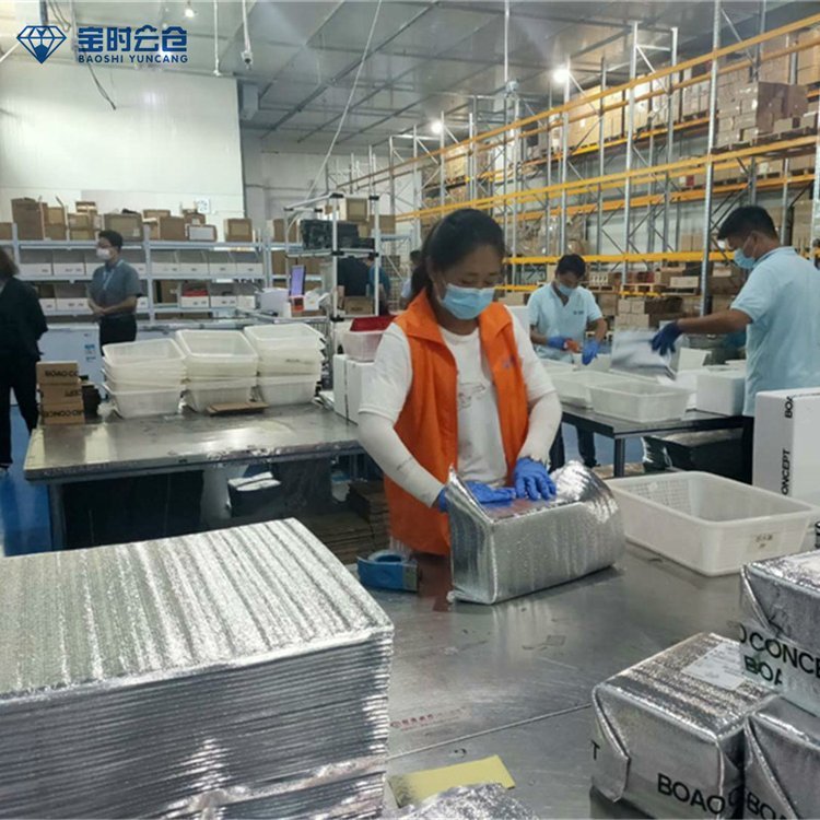 Cloud Warehouse Delivery Sf Express Warehousing and Management + Packaging and Shipping + Express Delivery E-Commerce Warehouse and Distribution Integration