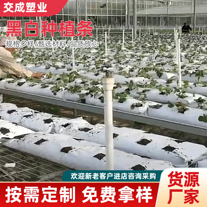 Полоски для посадки, прямые поставки от производителя, безземельные полоски для культивации