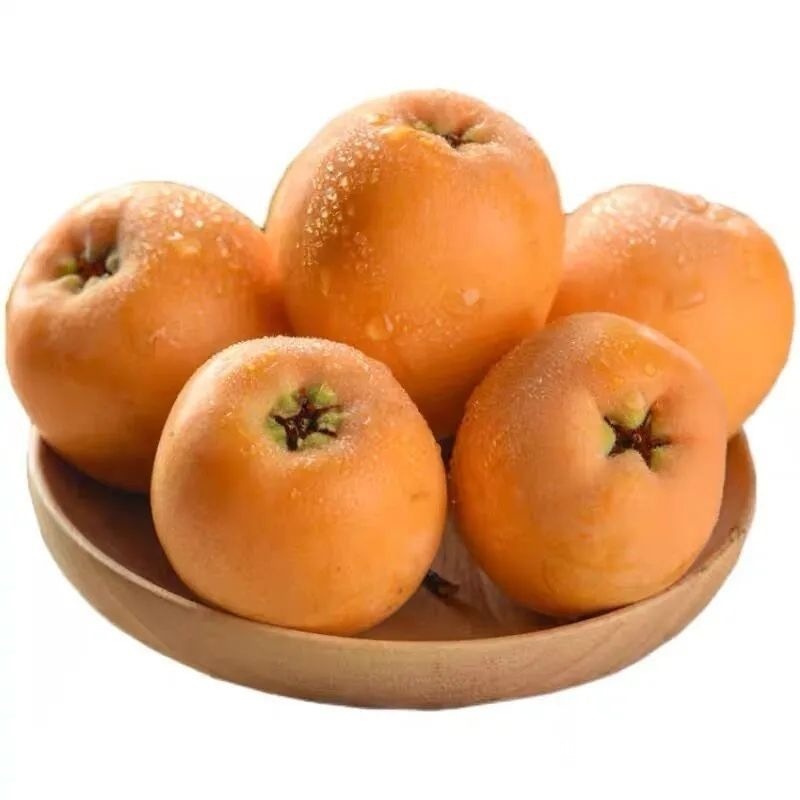 Sichuan Da Wuxing Loquat, Fresh Loquat Fruit from the Mountains, Seasonal Fruit, Whole Box of Dahongpao Loquats, Others Not Available