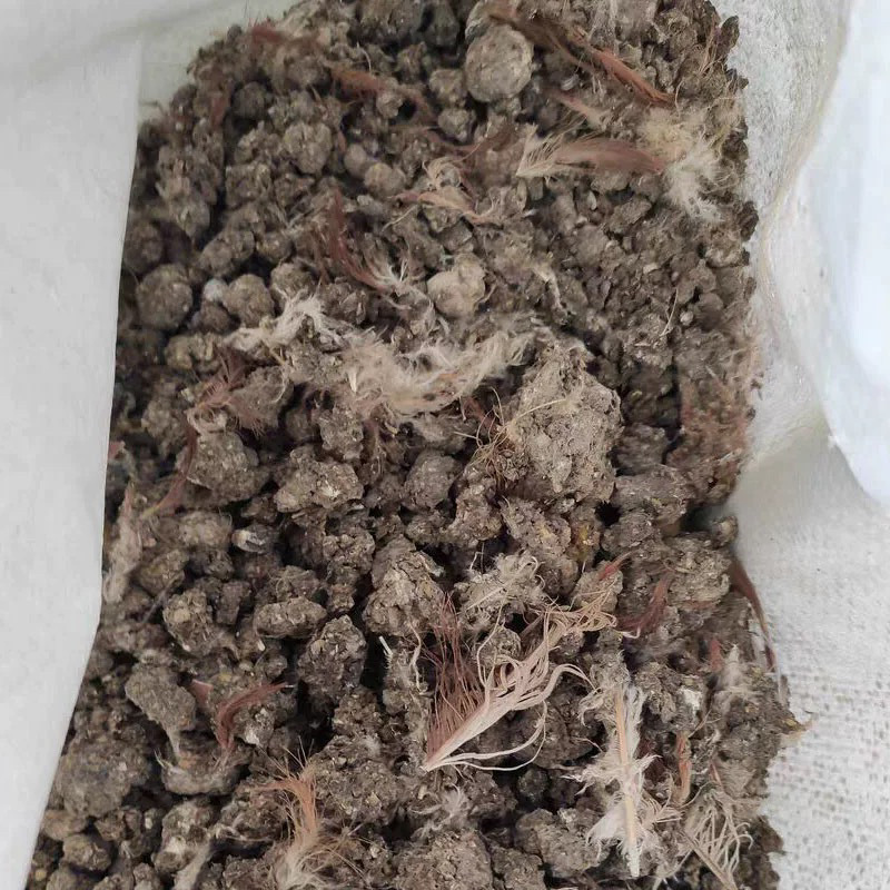 Chicken Manure Pure Dry Chicken Manure Farmyard Manure Chicken Manure with Chicken Fertilizer for Flowers and Vegetables Natural Farmyard Chicken Manure Blocks Free Shipping